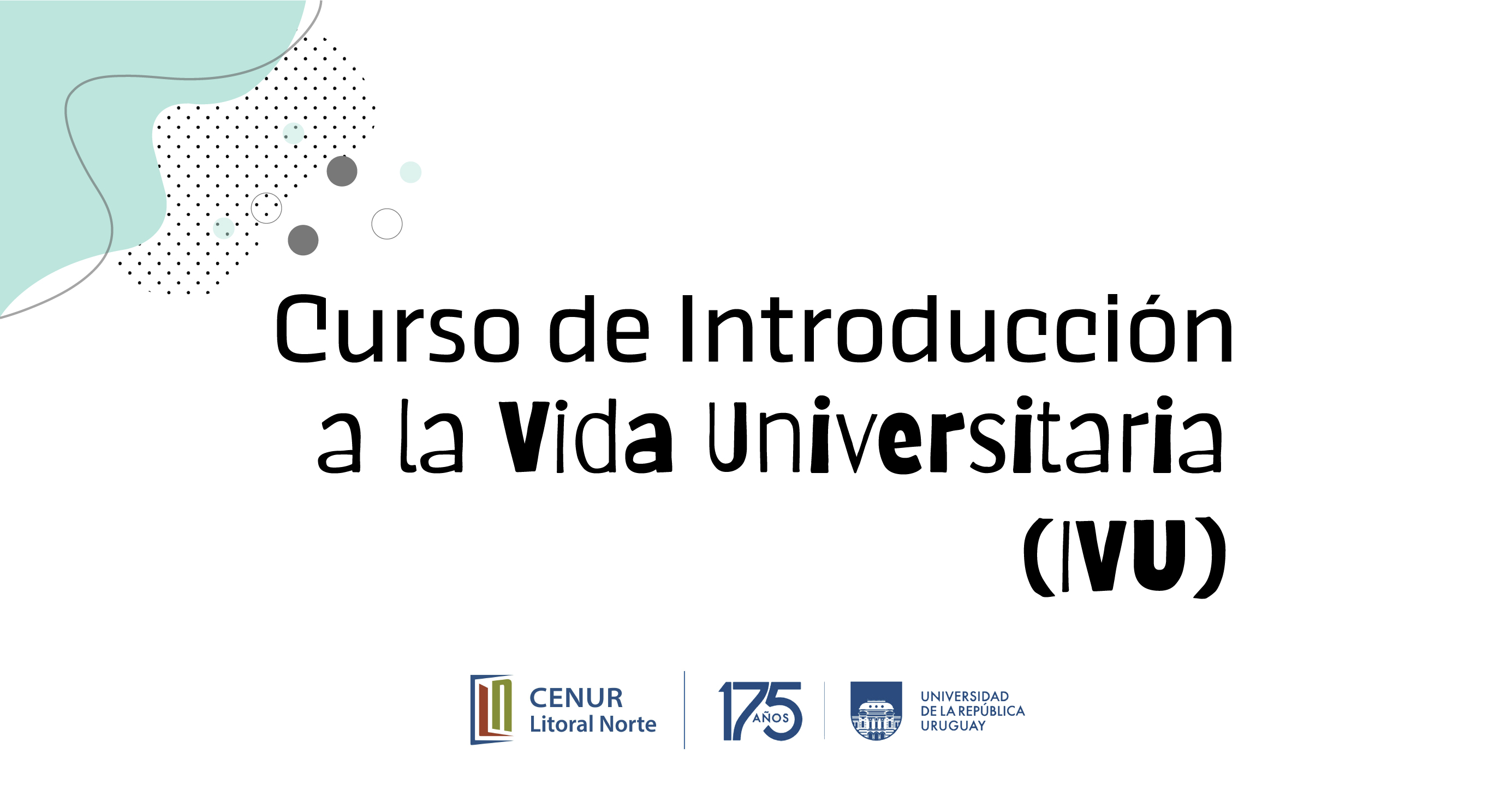 portada curso IVU 2025