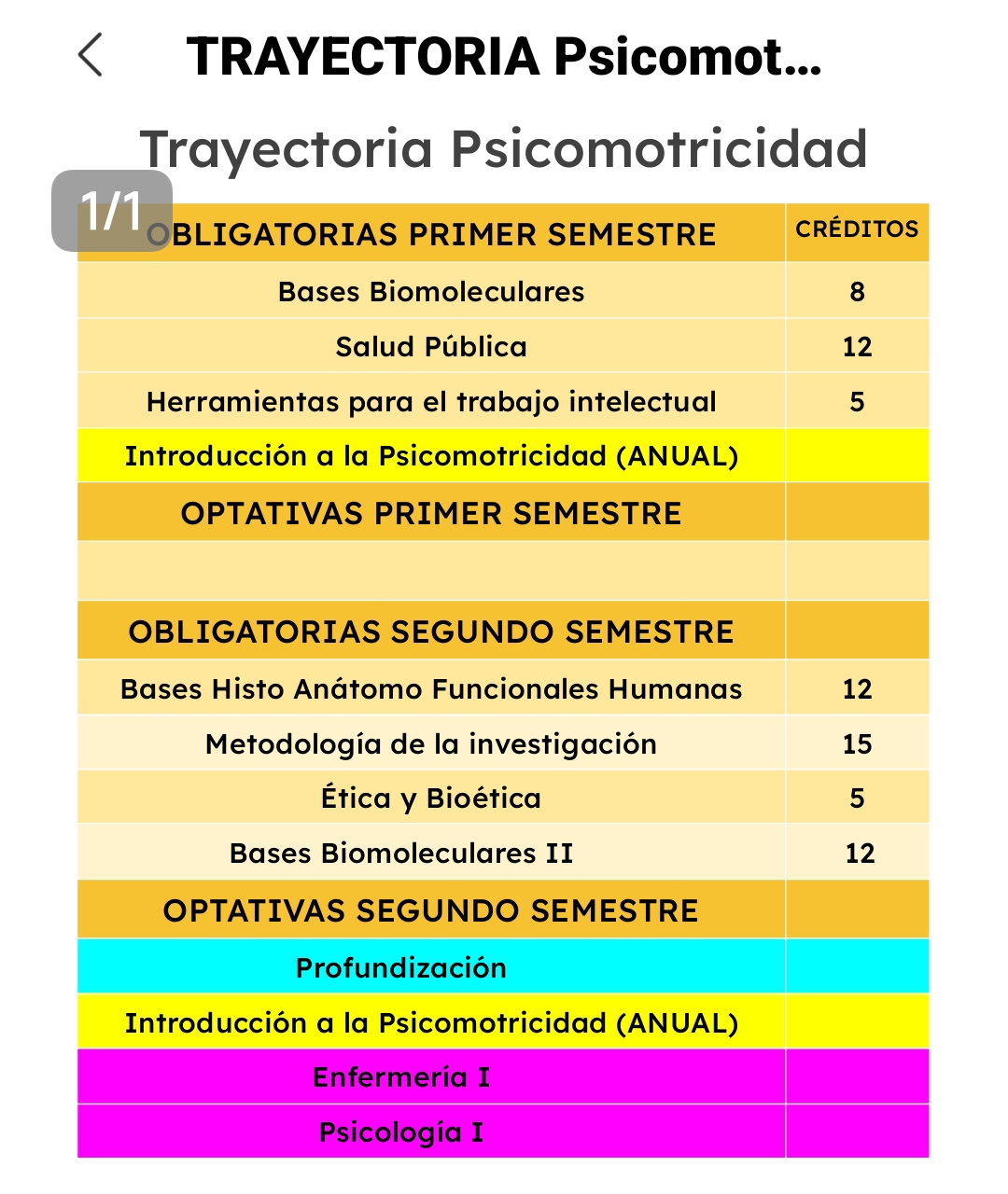 Asignaturas