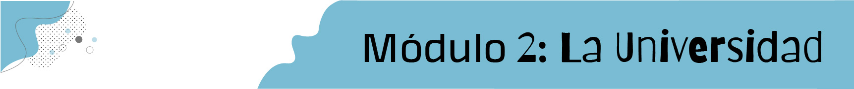 Modulo 2 claro