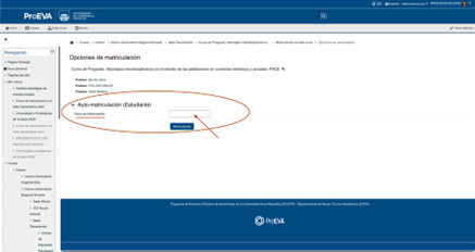 Se muestra el espacio para colocar la clave de automatriculación