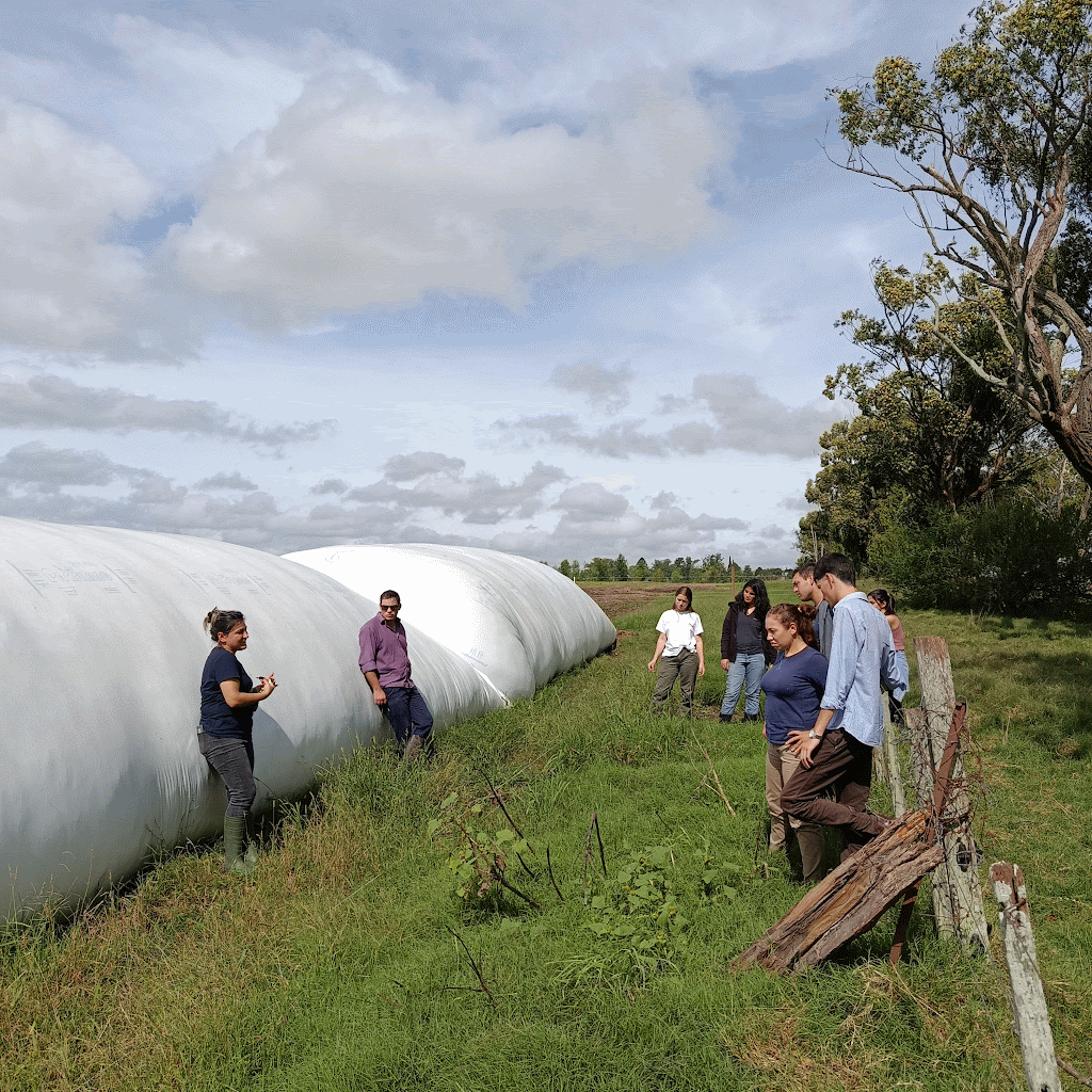 Producción y manejo de pasturas 2026